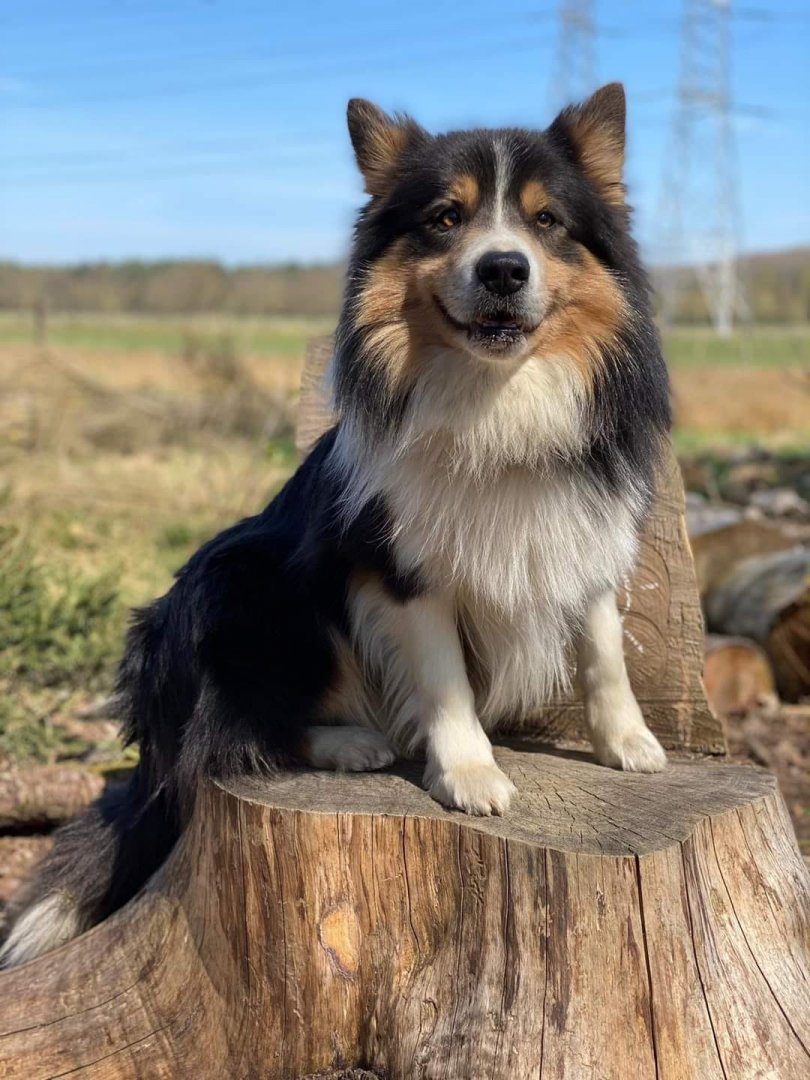 176738325-10224367630448921-4896574912078766493-n