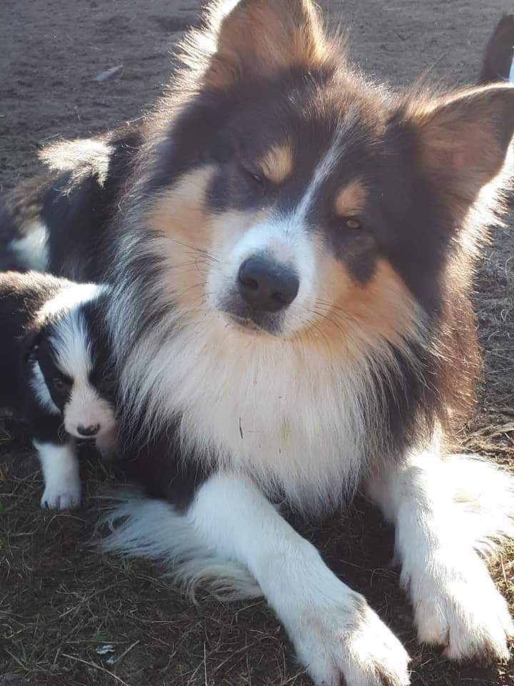 fb-img-1583432173178